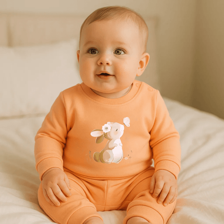 Rainy Bluză bebe cu mânecă lungă Iepuraș cu fluture 56-92 cm. piersică